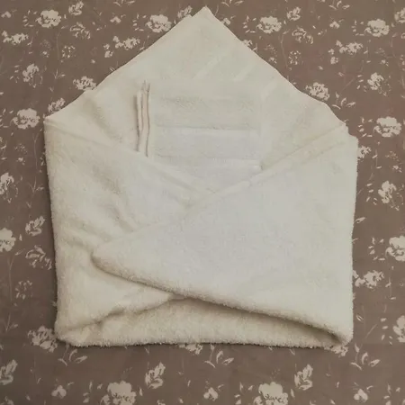 Séjour chez l'habitant N *